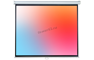 Настенный экран Lumien Eco Picture 167х264см (рабочая область 161х258 см) (120") Matte White восьмиг Купить