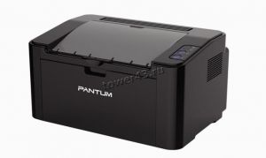 Принтер лазерный Pantum 2500W (A4, USB 2.0, WiFi) черный Купить